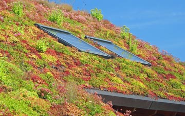Shavington living roof systems